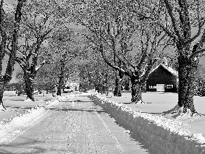 field, winter, trees, viewes, Way, Houses