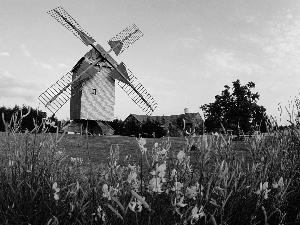 trees, viewes, meadow, Flowers, Windmill