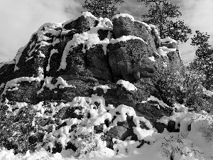 trees, viewes, rocks, snow, winter