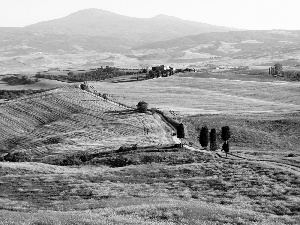 Way, trees, Italy, viewes, Tuscany, Houses, medows, Mountains