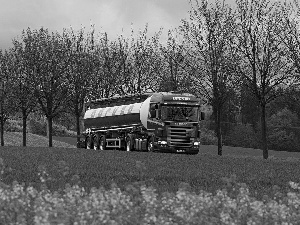 trees, Front Truck, Yellow, Flowers, viewes, Cistern