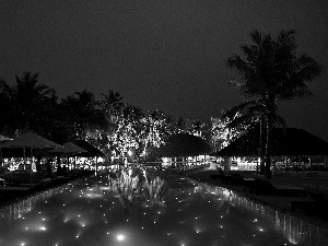 Hotel hall, Night, tropic, Pool