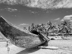 Lodz, Palms, tropic, Beaches