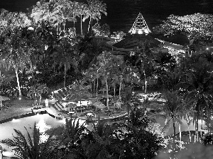 tropic, Palms, terrace, Pool, Hotel hall