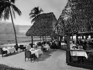 Restaurant, Ocean, tropic, Beaches