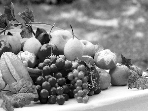 Fruits, mandarin, truck concrete mixer, Grapes