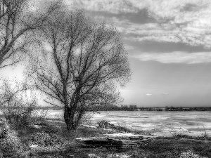 viewes, River, bath-tub, clouds, winter, trees