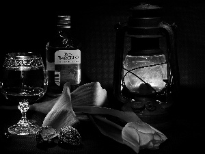 composition, Lamp, tulip, alcohol