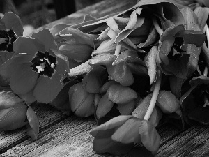 bouquet, tulips