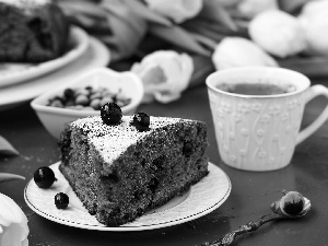 blueberries, plate, Cup, White, coffee, piece, cake, Tulips