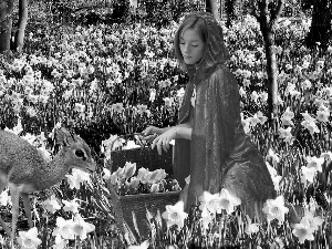 girl, Meadow, tulips, deer, basket, daffodils