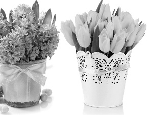 Hyacinths, Pots, eggs, Tulips