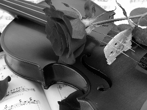 Tunes, rose, violin