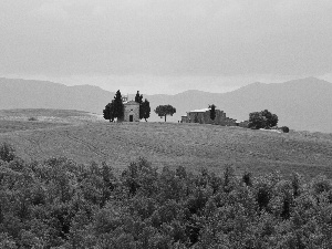 woods, Houses, Tuscany, Italy, Mountains, medows