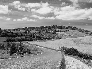 Tuscany, Italy, field, summer, Way