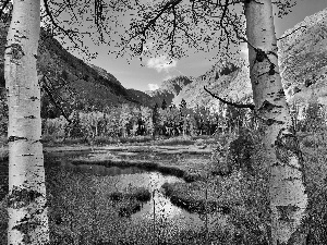 Two, birch, Mountains, lake, autumn