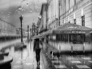 buildings, Rain, Umbrella, dog, Women, Street