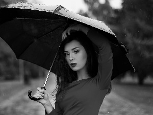 Umbrella, Women, Rain