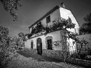 Valencia, Spain, trees, viewes, house