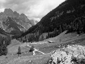 woods, Bavaria, Valley, Houses, medows, Mountains