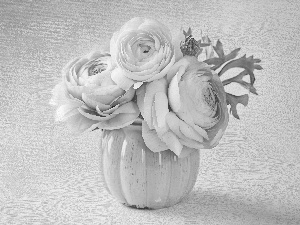 vase, Flowers, begonia