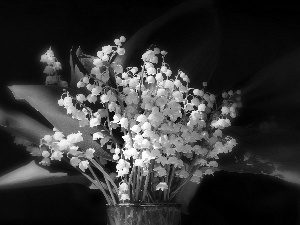 lilies, Vase