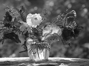 Vase, bouquet, papavers