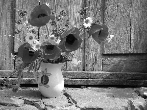 Vase, bouquet, papavers