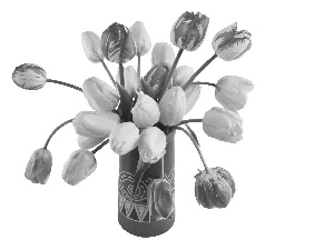 Tulips, Vase