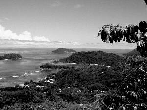 VEGETATION, sea, Islets