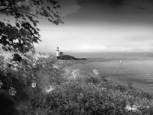 Lighthouses, Flowers, VEGETATION, sea