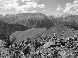 medows, summer, VEGETATION, Oregon, boulders, Mountains