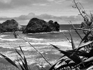 flash, rocks, Przebijające, Piha, ligh, sea, VEGETATION, Beach, luminosity, sun