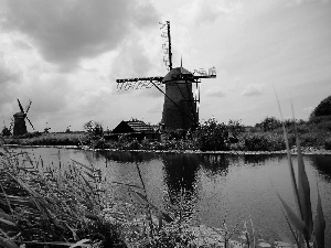 VEGETATION, Windmills, River