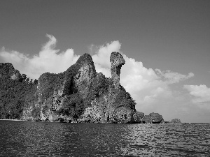 VEGETATION, sea, rocks