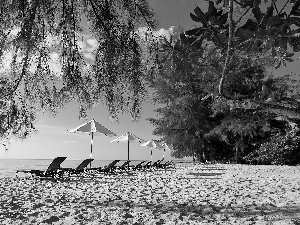 deck chair, sea, holiday, Beaches, Thailand, VEGETATION, Sunshade