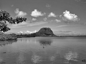 sea, clouds, VEGETATION, Mountains