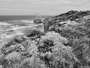 sea, seaside, VEGETATION, cliff