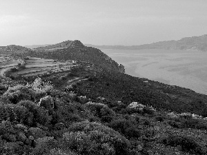 Mountains, The poor, VEGETATION