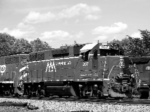 vertices, trees, ##, Sky, locomotive