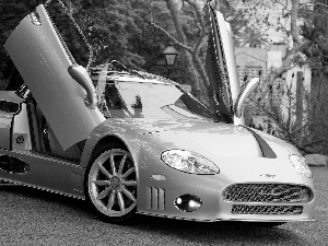 Spyker C8 Aileron, trees, viewes, square