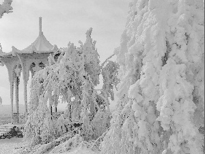 trees, snow, Spruces, Snowy, winter, viewes, arbour