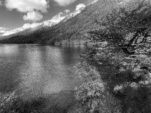 viewes, Argentina, Mountains, trees, lake