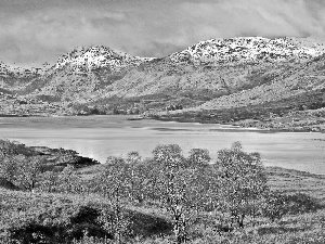 trees, Mountains, Scotland, medows, lake, viewes, autumn