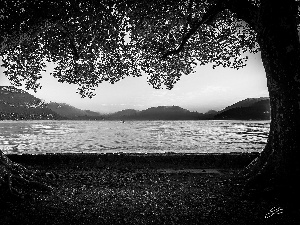 viewes, autumn, lake, trees, Mountains