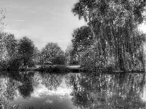 viewes, autumn, Park, trees, Pond - car