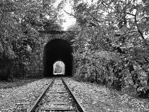 trees, ##, Leaf, railway, tunnel, viewes, autumn