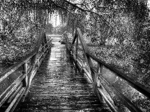 viewes, autumn, bridge, trees, River