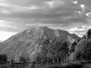 Way, Rocky, viewes, autumn, trees, Mountains