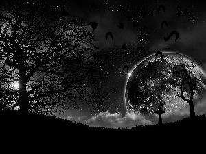 moon, Night, viewes, bats, trees, cemetery